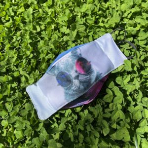 Galaxy Cat Mask 3 layer reusable face mask with filter